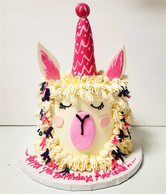 Long Island Custom Cakes, Childrens Cake, Gluten Free, East Meadow NY