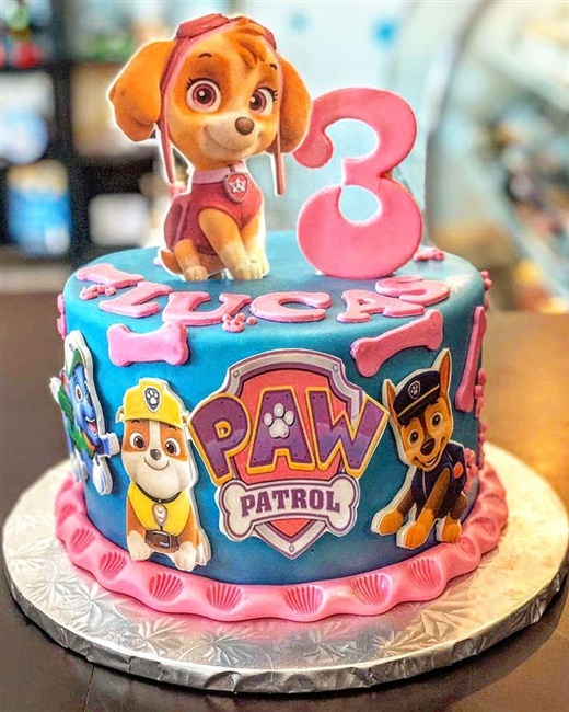 Long Island Custom Cakes, Childrens Cake, Gluten Free, East Meadow NY